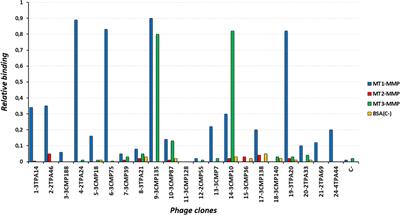 Development of anti-membrane type 1-matrix metalloproteinase nanobodies as immunoPET probes for triple negative breast cancer imaging